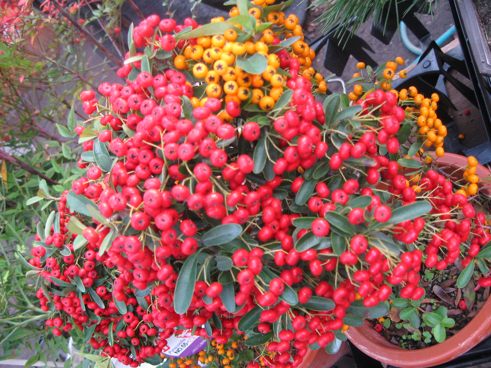 20140119 098.JPG