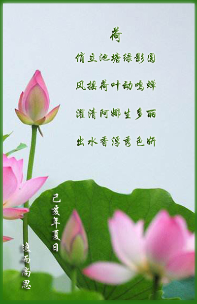 荷.jpg